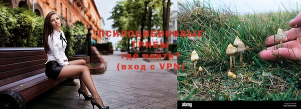 метадон Дмитровск